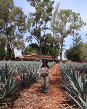 Cassie Yeung Instagram - Proud @patron mommy! She’s additive free and hand-crafted with care 💚 #patrontequila #patronpartner