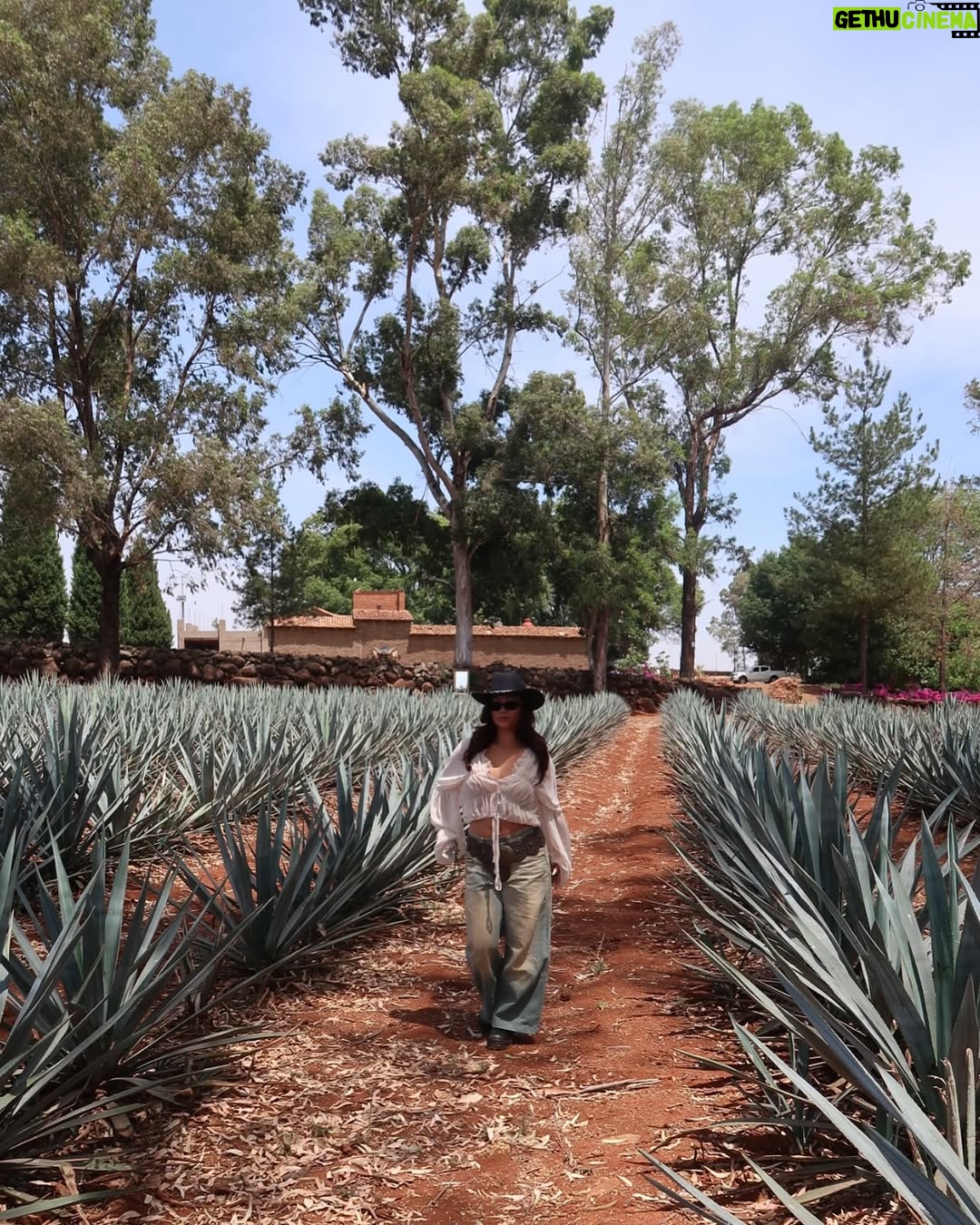 Cassie Yeung - 32.3K Likes - Proud @patron mommy! She’s additive free and hand-crafted with care 💚 #patrontequila #patronpartner