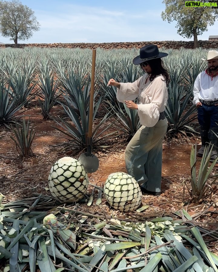 Cassie Yeung - 32.3K Likes - Proud @patron mommy! Sheās additive free and hand-crafted with care š #patrontequila #patronpartner