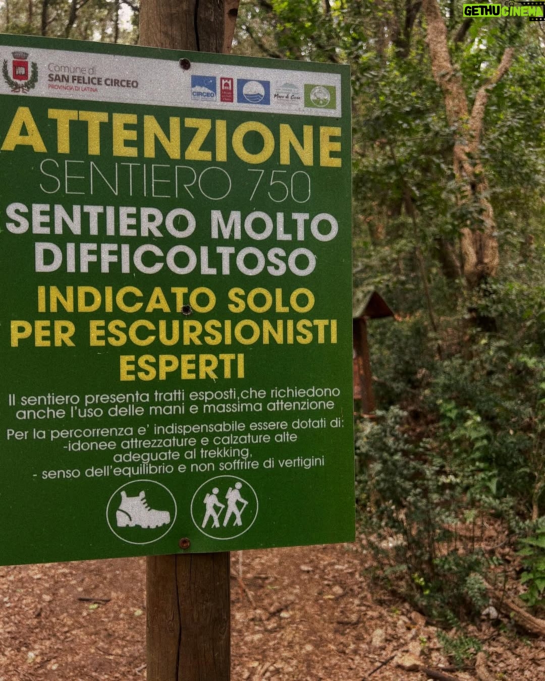 Caterina Shulha - 0.9K Likes - Qualcuno oggi ha detto che la montagna è come la vita
Buona Pasqua piena d’amore a tutti voi ❤️