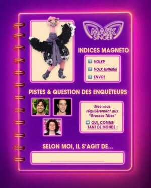 Chantal Ladesou Instagram - Pour découvrir qui se cache derrière ces costumes, voici vos carnets d'enquêteurs 🧐

𝙈𝙖𝙨𝙠 𝙎𝙞𝙣𝙜𝙚𝙧, vendredi à 21h10 sur TF1 et TF1  🎭