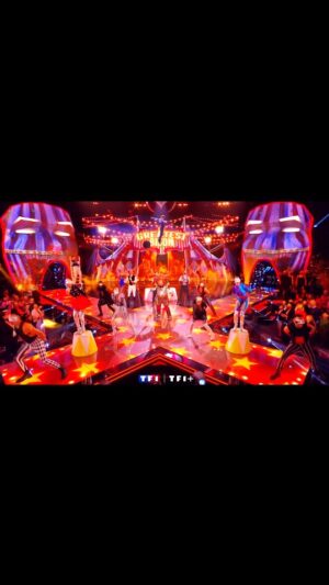Chantal Ladesou Instagram - "Ils vont mettre leur talent au service d'un show plus spectaculaire que jamais !" 🤩

𝙈𝙖𝙨𝙠 𝙎𝙞𝙣𝙜𝙚𝙧 revient ce soir à 21h10 sur TF1 et TF1  🎭