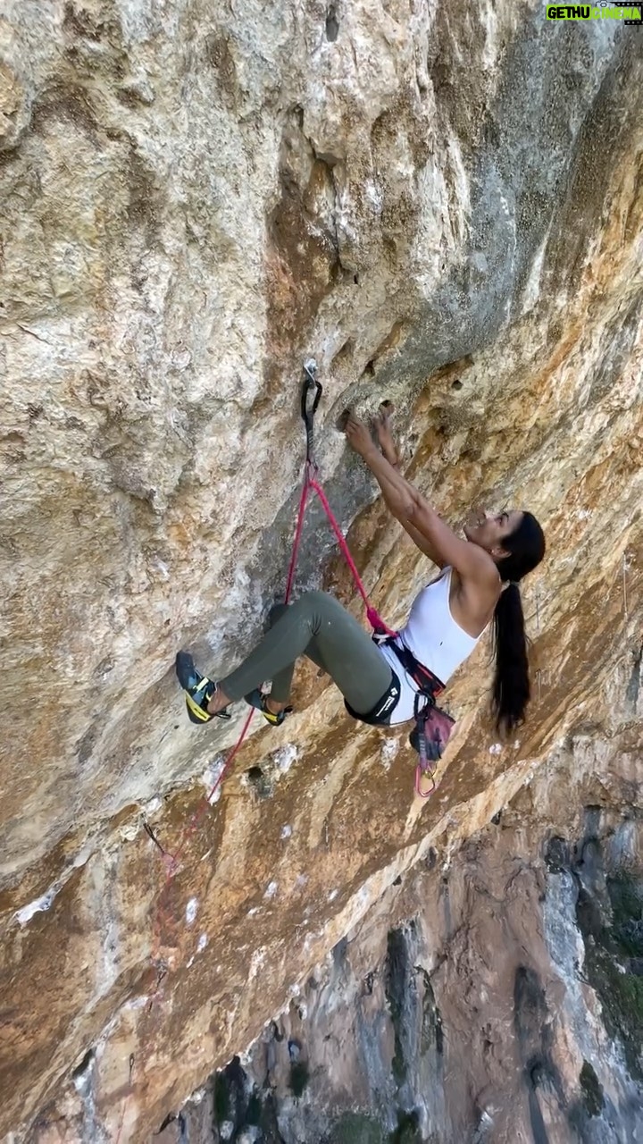 Daila Ojeda - 2.2K Likes - Motivation is back… shape is still in progress. Figuring out the moves in a new proyectito. ✨
📹 @liese_lotte_p ✨Thanks!
@blackdiamond @scarpa_world @scarpaspain @zion_climbing @classenmartin