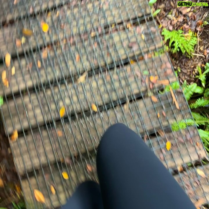 Diana Pereira - 1.8K Likes - And Just like that , o que queres fazer para o teu aniversĆ”rio Diana ? Subir mais de 6000 escadas , soprar as velas a ver o monte Egmont⦠voltar a descer as escadas a correr , na melhor companhia de sempre š„°ā¤ļø
