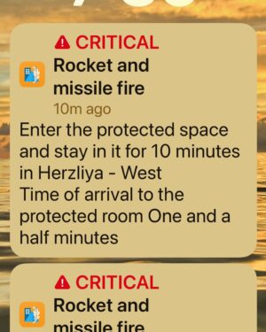 Diane Neal Instagram - 🇮🇱 💙And just like that you go from playing on the beach to the bomb shelter. And it doesn’t matter, because you love #israel. And this is nothing, nothing, compared to what others are living. #amisraelchai #mamad #homefront #welcomehome #edanalexander #gratitude #safety #irondome #sticktogether #supporteachother 🇮🇱💙