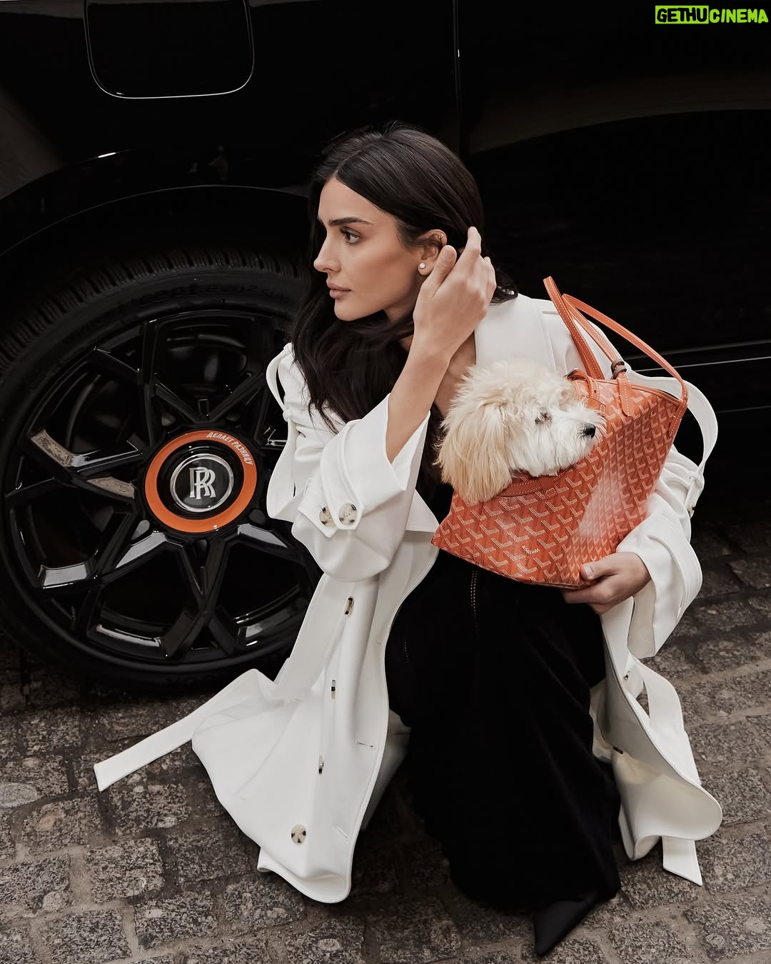 Dina Saeva - 44.8K Likes - ценю партнёрство, в котором есть смысл, когда каждый шаг наполнен доверием и взаимным уважением.
уже несколько месяцев мы движемся в одном направлении @winlineru 🧡