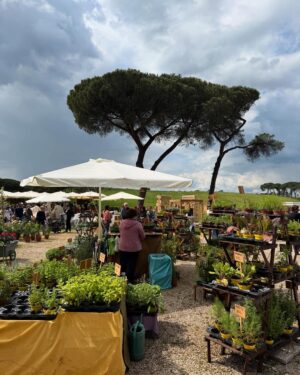 Elena Santarelli Instagram - Il meglio del florovivaismo italiano, collezioni botaniche insolite e rare, arredi da giardino, artigianato e oggettistica vintage e di creatività sostenibile. A completare l’esperienza, laboratori, installazioni, esperienze culturali e ludiche, degustazioni, presentazioni di libri, incontri con ricercatori e artisti di fama internazionale per approfondire le più importanti tematiche legate alla natura e all’ambiente.

Per me e’ la prima volta ..ci tornerò ogni anno 🙂

@floracult @icasalidelpino 

#noadv

#hocompratoibiglietti