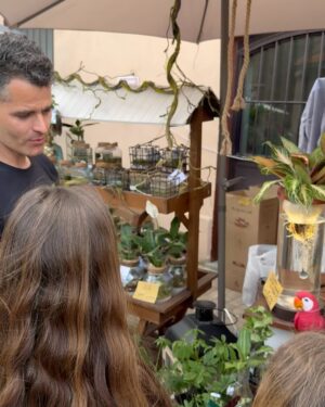 Elena Santarelli Instagram - Il meglio del florovivaismo italiano, collezioni botaniche insolite e rare, arredi da giardino, artigianato e oggettistica vintage e di creatività sostenibile. A completare l’esperienza, laboratori, installazioni, esperienze culturali e ludiche, degustazioni, presentazioni di libri, incontri con ricercatori e artisti di fama internazionale per approfondire le più importanti tematiche legate alla natura e all’ambiente.

Per me e’ la prima volta ..ci tornerò ogni anno 🙂

@floracult @icasalidelpino 

#noadv

#hocompratoibiglietti