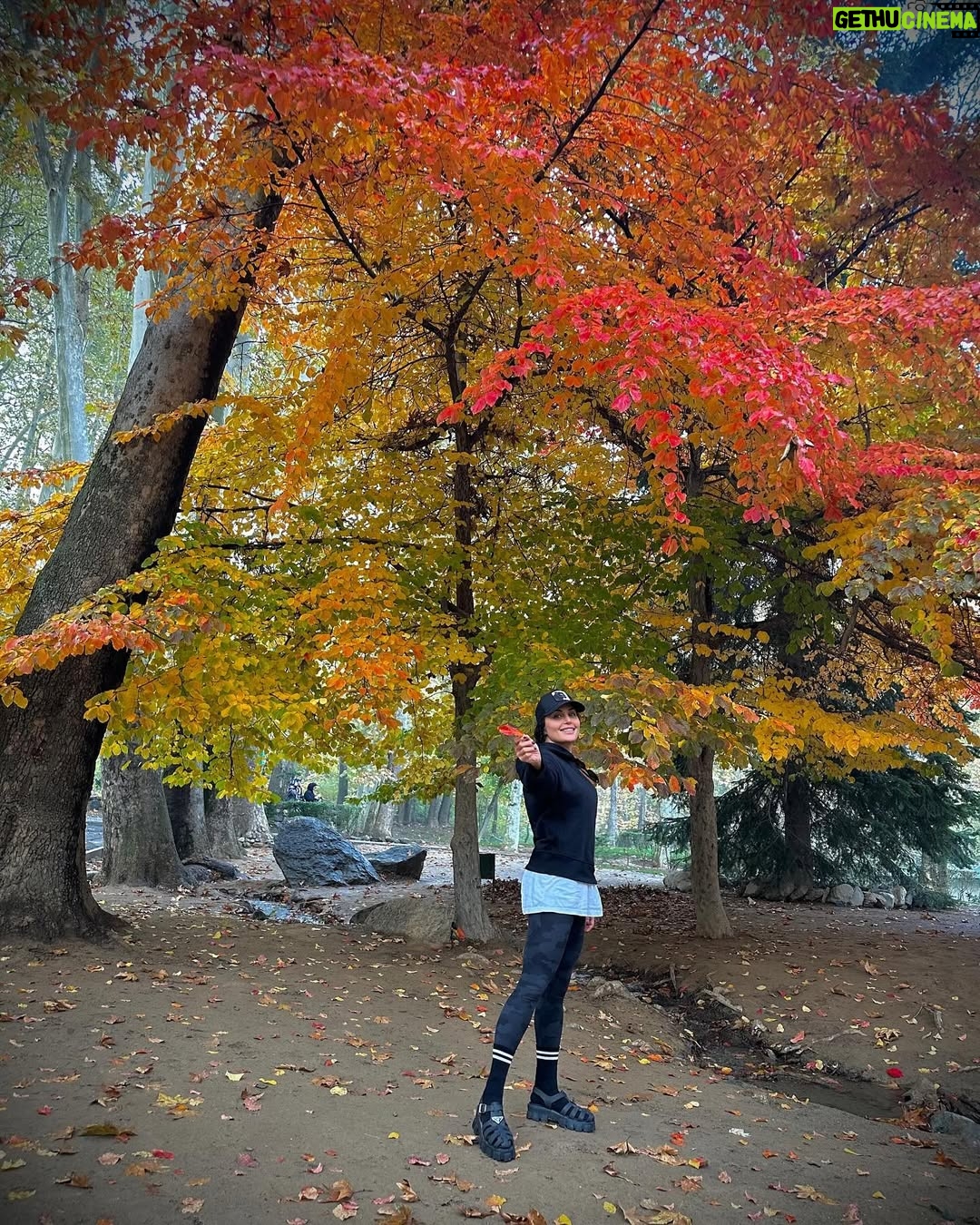 Elnaz Shakerdoost - 357.8K Likes - پاییز🍁
تهران_۱۴۰۳