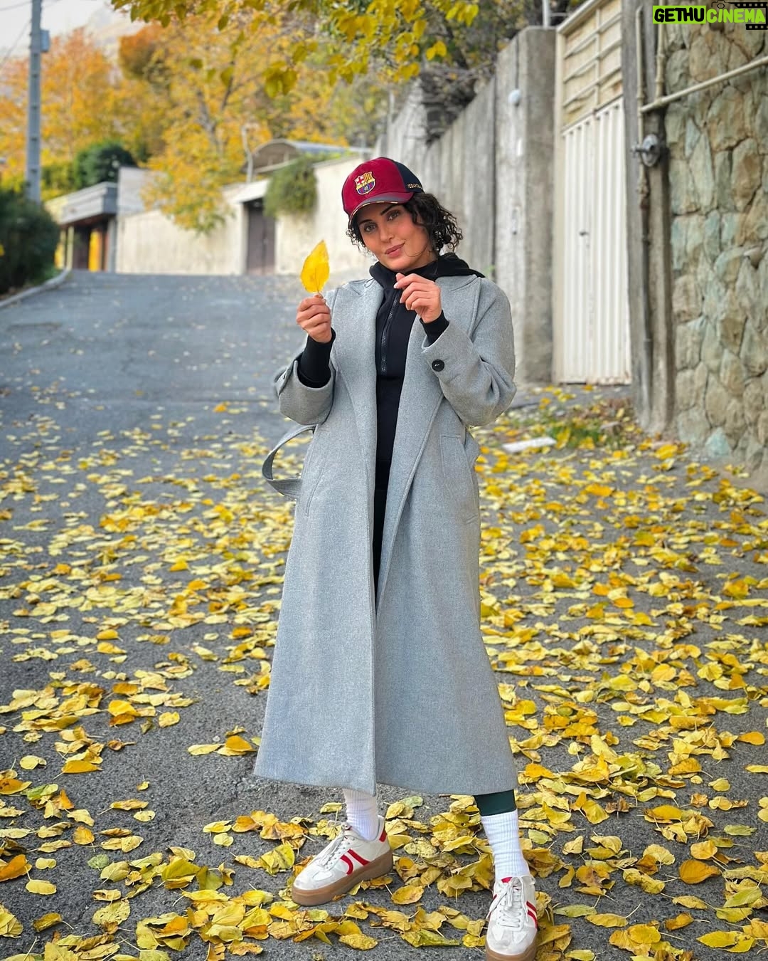 Elnaz Shakerdoost - 357.8K Likes - پاییز🍁
تهران_۱۴۰۳