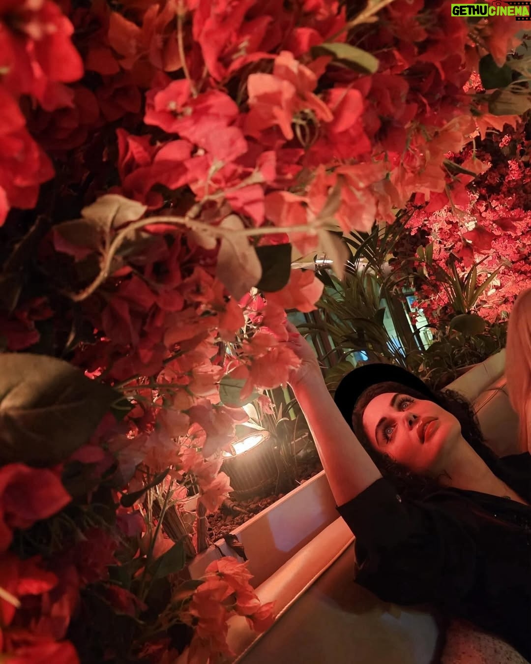 Elnaz Shakerdoost - 225.4K Likes - آنکه انتظار دارد هر چهار فصل بهار باشد، نه خود را می شناسد، نه طبیعت را و نه زندگی را #فرانسوا_ولتر