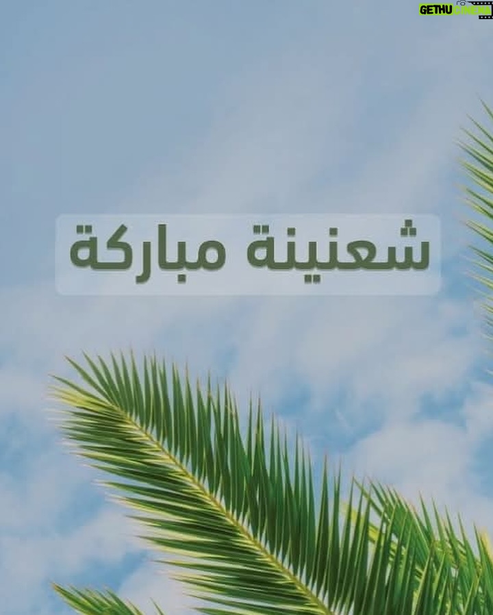 Elsa Zgheib - 7.7K Likes - شعنينة مباركة 🙏🙏
#elsazgheib #blessed #palmsunday #blessedpalmsunday🌿