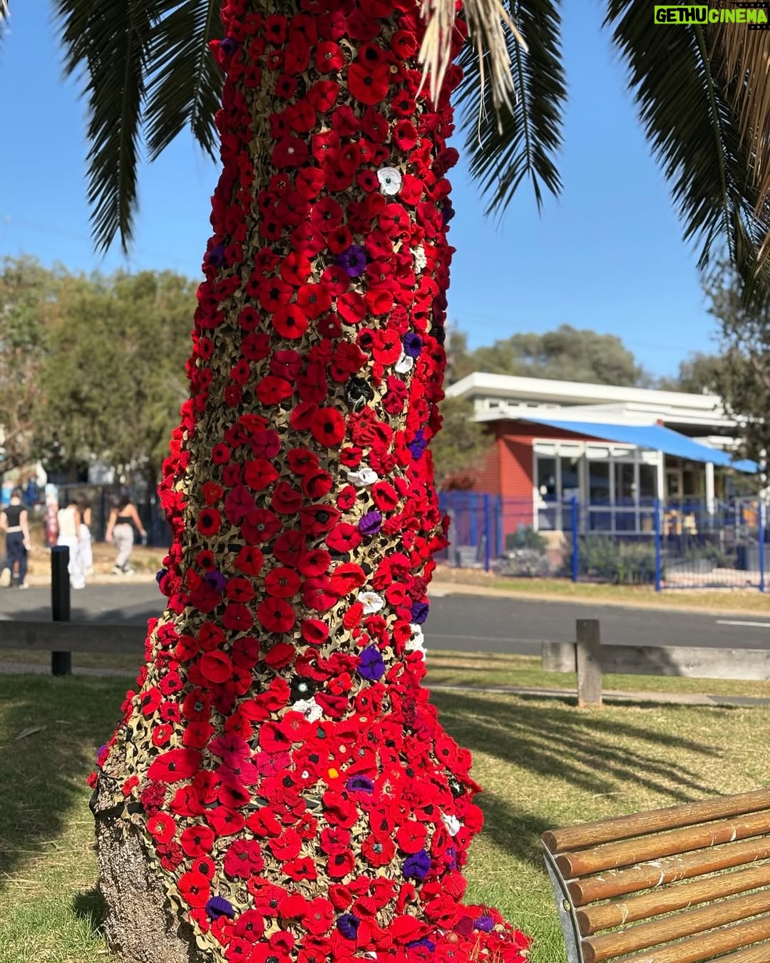 Esther Anderson - 677 Likes - Grateful to all the service men and women who have fought for our country. Anzac Day is always an emotional day but particularly this year. Proud of my dad who served in world war 2 and so lovely to see him receive this recognition today.
Lest we forget x