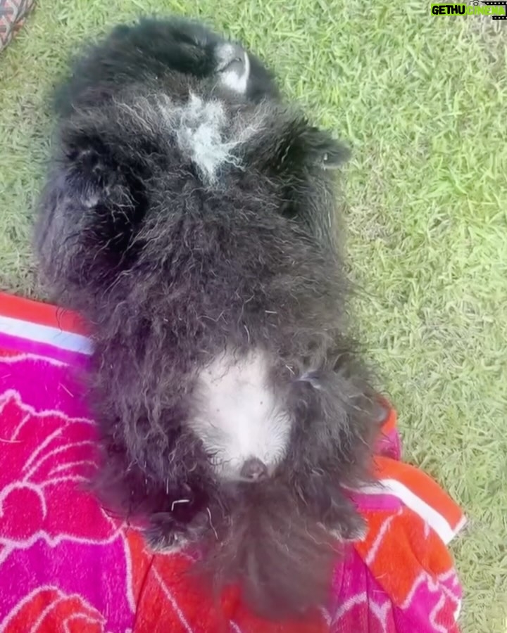 Giovanna Antonelli - 75.9K Likes - Tem um pedido na última foto 😬