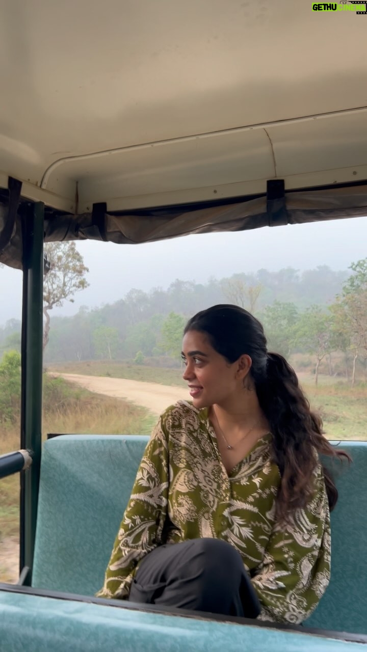 Gowri shruthi - 14.1K Likes - Feeling like a Wildflower 🍂🦌
.
.
#bandipur #wildlife #forests