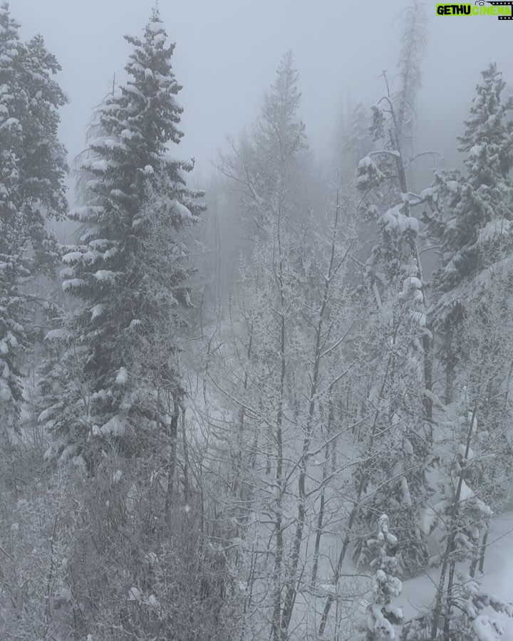 Greidys Gil - 1.3K Likes - Porque en la nieve la vida es más sabrosa!!!! 🥰❄️☃️🏂🎿 Los dos últimos videos son una delicia, ver lo chiquitos que empezaron a esquiar y ya Grace esquía azules y Lucas negras!!! 🥰