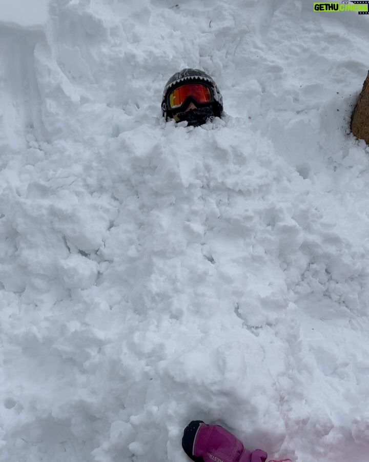 Greidys Gil - 1.3K Likes - Porque en la nieve la vida es más sabrosa!!!! 🥰❄️☃️🏂🎿 Los dos últimos videos son una delicia, ver lo chiquitos que empezaron a esquiar y ya Grace esquía azules y Lucas negras!!! 🥰