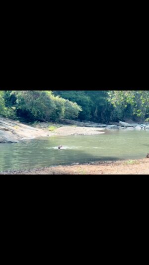 Hannah Spearritt Instagram - All in the same day! #rainyseason is starting… but at least we can still swim in the river in 90 degrees before it rains! Truly spectacular country 😊 #costarica #fun #platanillo #riverbeach #sun #rain 💗Xx