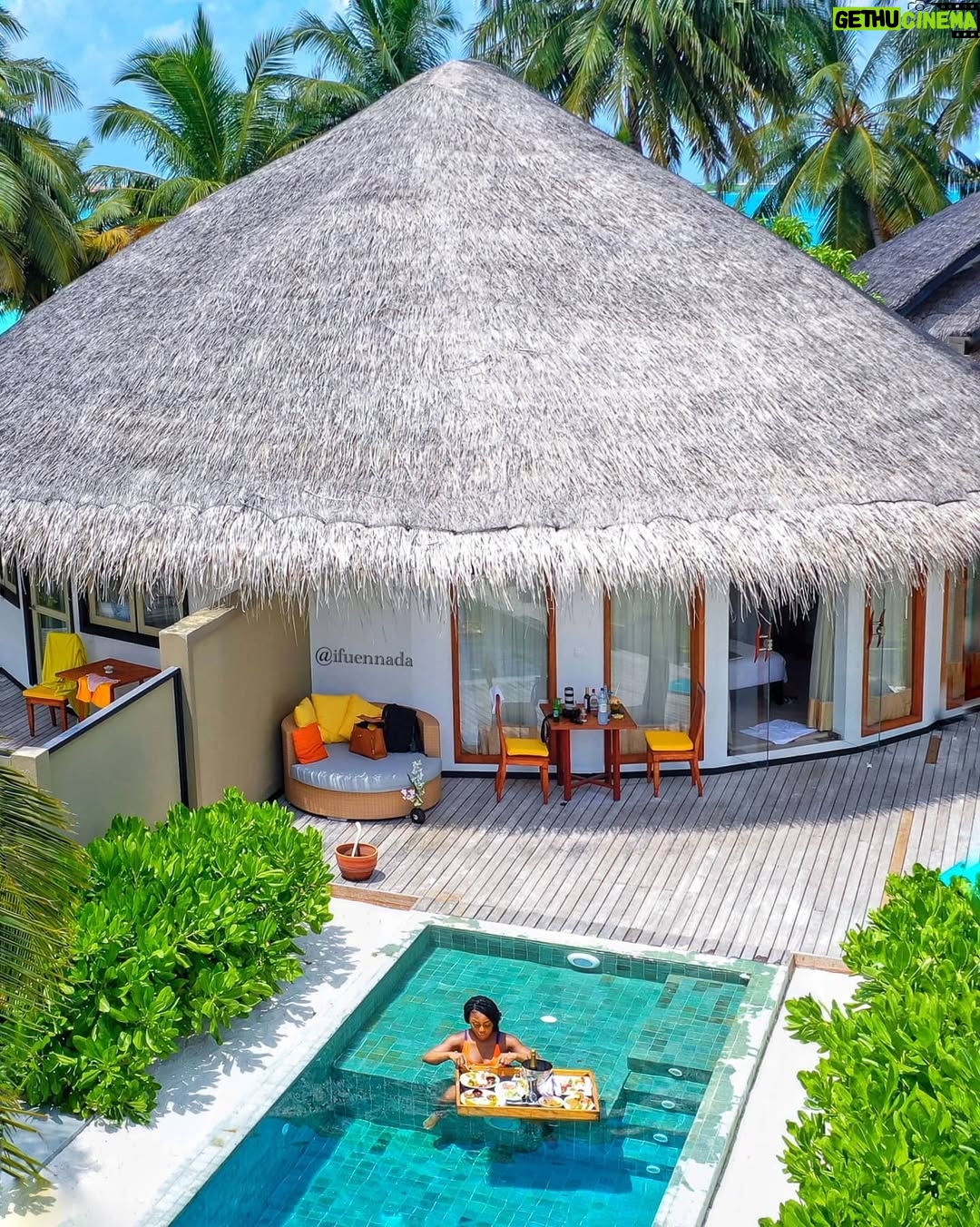 Ifu Ennada - 13.1K Likes - Floating Breakfast in my Beach Villa! Can you spot me in all the pictures?!🤣 What slide is your Fave? I wanted to show you guys all the Angles, so yeah, I went "Drone" 🤣
___
#Maldives is so beautIFU and so much fun!
___
Skin: my @beautifuskin Products
__
Art Director @mood_by_asher
