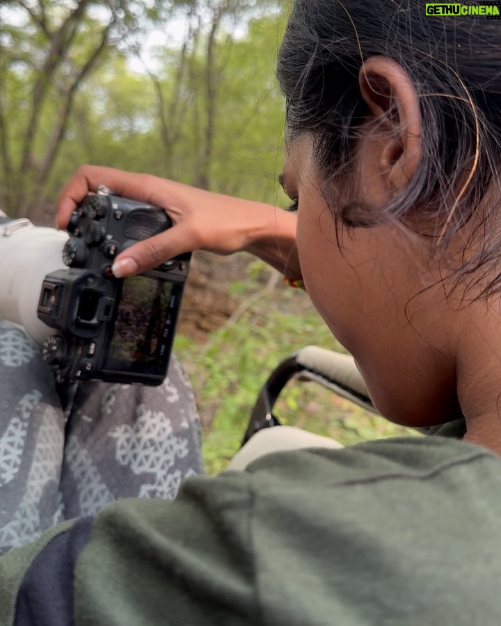 Ishita Varsha - 8.8K Likes - Itās been more than a year since I started capturing wildlife, us appreciating the wild with the names eyes, and capturing them through the lens are extremely different realms. Itās the true test of patience, perseverance and passion. In spite of all the challenges the wild has thrown at me, Iām determined and I am in love with this journey!
Lately, I have had quite a few people ask me lots of questions about my photography. So I have decided to dive deeper and answer those questions, here on my page, through a series of posts.
CAMERA has always been a part of my life & not even in my wildest dreams did I imagine calling myself a photographer. As I began exploring and studying photography, I fell completely in love with it. The magic didnāt happen overnight, but I kept taking photos.
The journey to reach this stage was difficult, really, really difficult, and sometimes frustrating, sometimes, they were nothing short of disheartening, but I knew it was worth it! I kept telling myself, āDonāt give up. Keep shooting. Set goals for yourself. Watch tutorials. Stalk your favorite photographers and explore photography blogs. Be adventurous. Find your interest! Stick with it! Own it!ā
I never gave up, and finally, here I am, confident enough to post the pictures I captured!
Follow me on my journey of becoming a better photographer in wildlife and travel through this page. Like, share, and support š¤