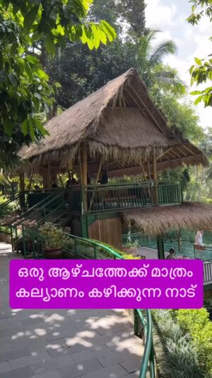 Jinsha Basheer Instagram - ഒരു ആഴ്ചത്തേക്ക് മാത്രം കല്യാണം കഴിക്കുന്ന നാട് കാണാം 😳😳

#marriage #indonesia #baliindonesia #bali #indonesian #balitrip #balitour #balitravel #balivibe #balidiaries
