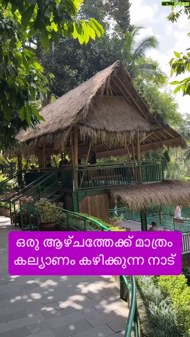 Jinsha Basheer - 1.1K Likes - ഒരു ആഴ്ചത്തേക്ക് മാത്രം കല്യാണം കഴിക്കുന്ന നാട് കാണാം 😳😳
#marriage #indonesia #baliindonesia #bali #indonesian #balitrip #balitour #balitravel #balivibe #balidiaries