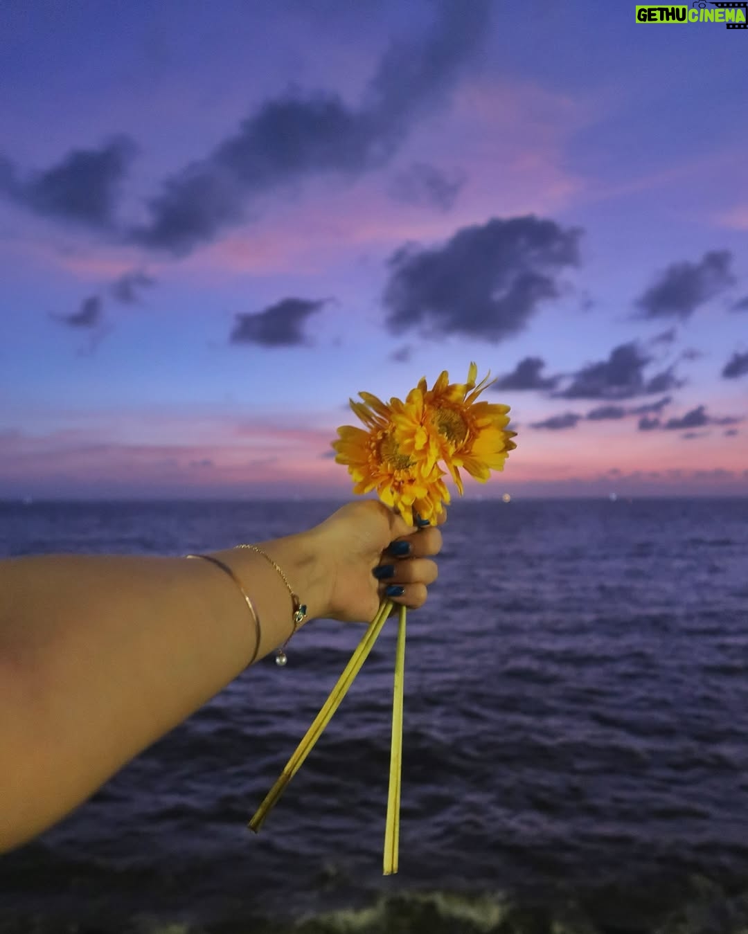 Kaashvi Hiranandani - 563.6K Likes - let’s watch the sunset together? 🌻 #kaashplays shot by @deomanish 
.
.
.
.
.
#mumbai #explore #bgmi #fyp #sunset #kaashvi #india #sunflower