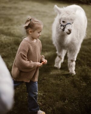 Klaudia Halejcio Instagram - 🦙 Te cudowne alpaki mają w sobie coś magicznego — wystarczy chwila w ich towarzystwie, by poczuć spokój, ciepło i uśmiech 🥰✨

@iwona.stomska.fotografia 📸