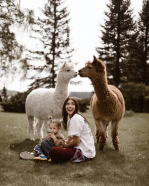 Klaudia Halejcio Instagram - 🦙 Te cudowne alpaki mają w sobie coś magicznego — wystarczy chwila w ich towarzystwie, by poczuć spokój, ciepło i uśmiech 🥰✨

@iwona.stomska.fotografia 📸