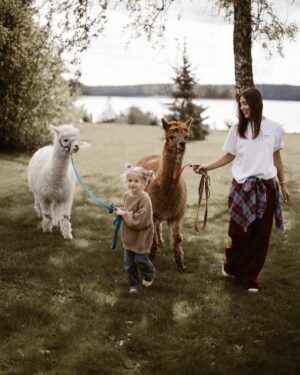 Klaudia Halejcio Instagram - 🦙 Te cudowne alpaki mają w sobie coś magicznego — wystarczy chwila w ich towarzystwie, by poczuć spokój, ciepło i uśmiech 🥰✨

@iwona.stomska.fotografia 📸