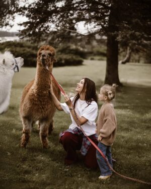 Klaudia Halejcio Instagram - 🦙 Te cudowne alpaki mają w sobie coś magicznego — wystarczy chwila w ich towarzystwie, by poczuć spokój, ciepło i uśmiech 🥰✨

@iwona.stomska.fotografia 📸