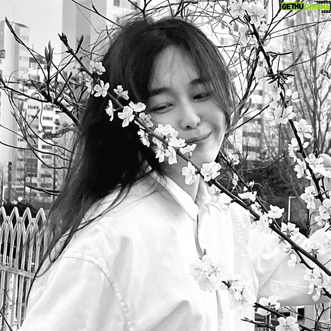 Lee Ha-na - 6.1K Likes - 동지들에게 너무 고마워서~~ 늦었지만
조금 지난 벚꽃사진...🤍
동지들 항상 고마워요☺️