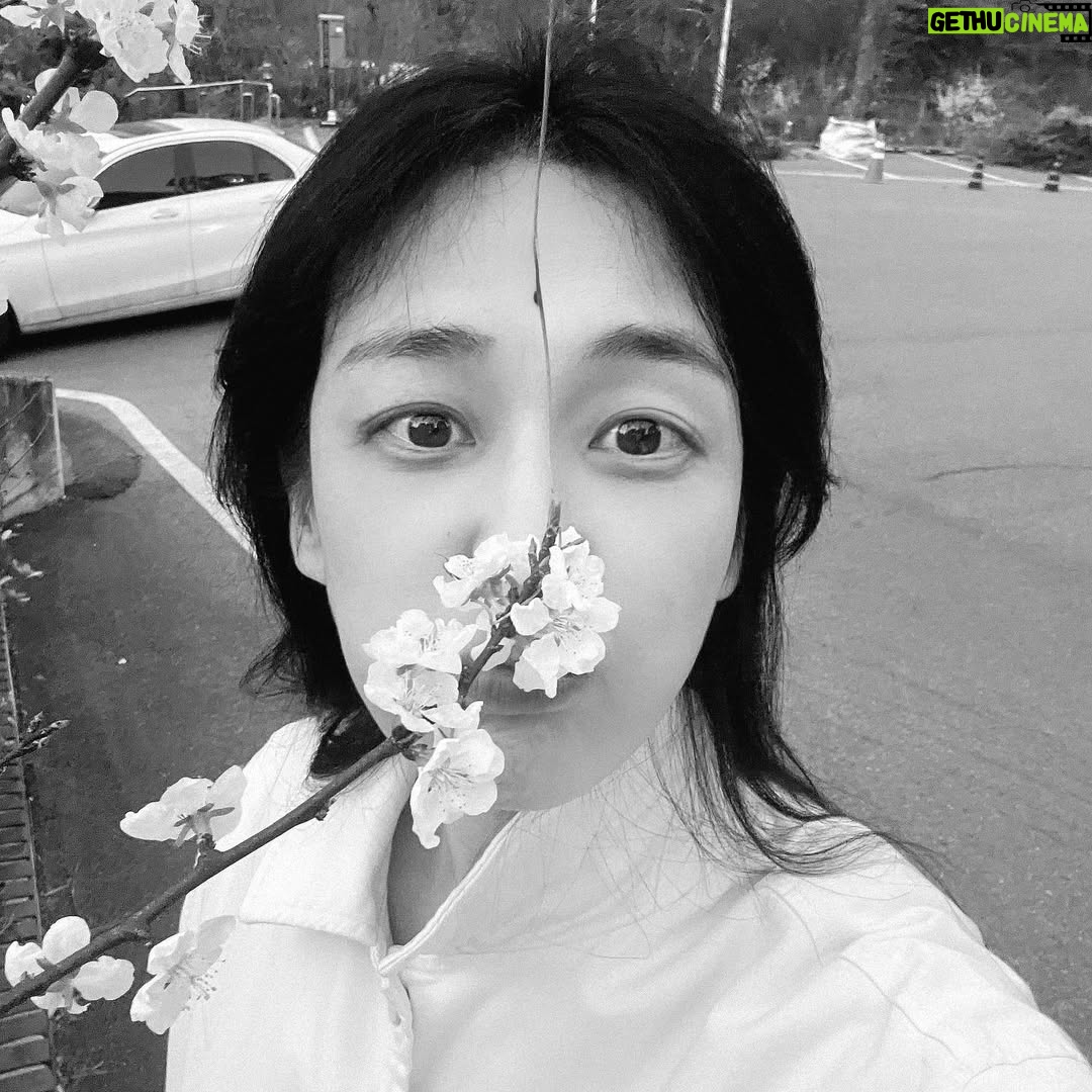Lee Ha-na - 6.1K Likes - 동지들에게 너무 고마워서~~ 늦었지만
조금 지난 벚꽃사진...🤍
동지들 항상 고마워요☺️