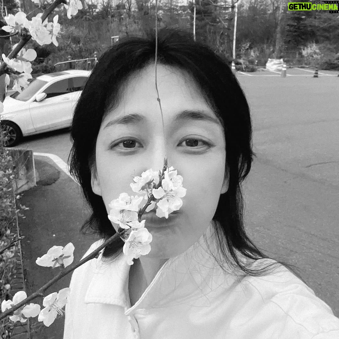 Lee Ha-na - 6.1K Likes - 동지들에게 너무 고마워서~~ 늦었지만
조금 지난 벚꽃사진...🤍
동지들 항상 고마워요☺️