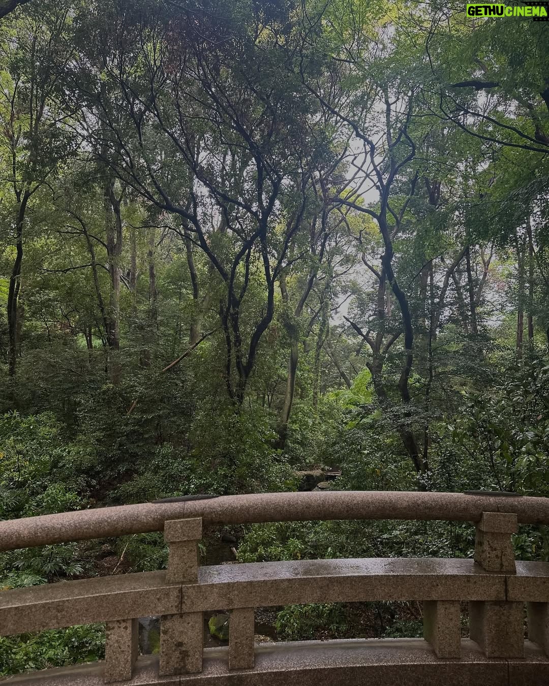 Luisa Ranieri - 39.2K Likes - Finalmente Tokyo ! Grazie @bvlgarihotels per questo soggiorno indimenticabile ā„ļø
@elisabettamarra
@nikoromito
@bvlgarihoteltokyo #suppliedby