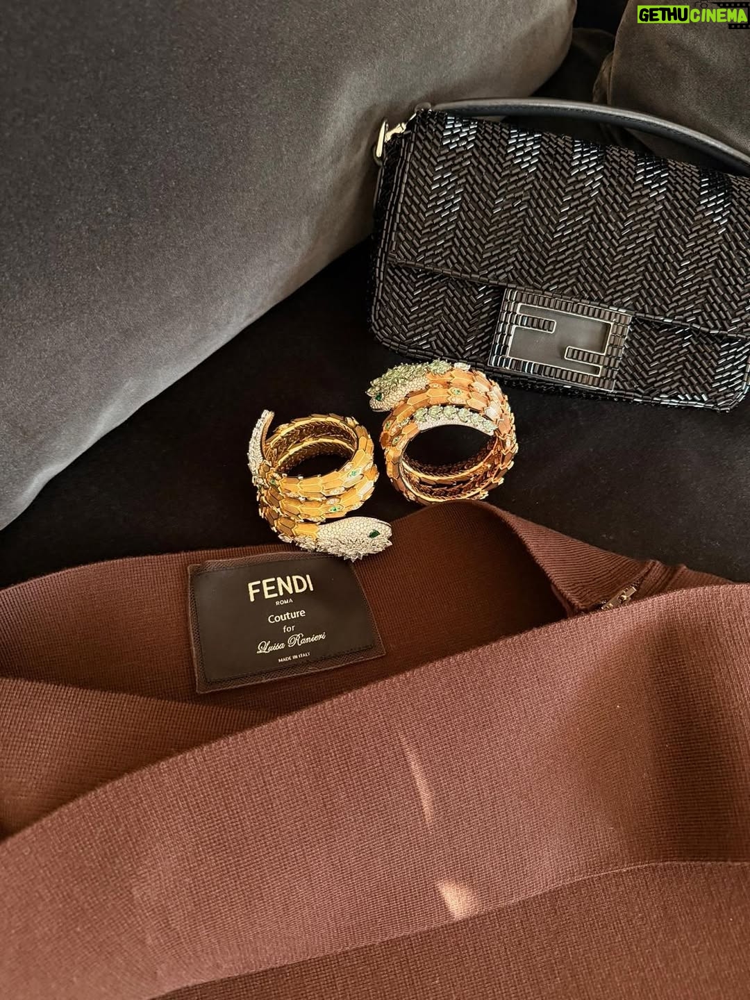 Luisa Ranieri - 31.6K Likes - About last night š«
Grazie a
@fendi
@bvlgari
Styled by @gloriaripamonti
Hair @domenicaricciardi
MUA @concettaargondizzo_mua X @simonebelliagency