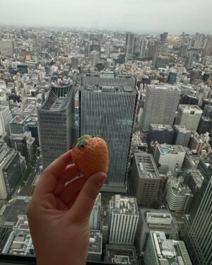 Luisa Ranieri Instagram - Finalmente Tokyo ! Grazie @bvlgarihotels per questo soggiorno indimenticabile ♥️

@elisabettamarra 
@nikoromito
 @bvlgarihoteltokyo  #suppliedby