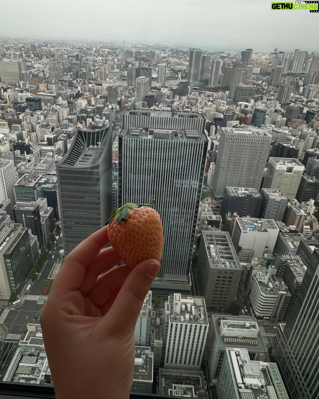 Luisa Ranieri - 39.2K Likes - Finalmente Tokyo ! Grazie @bvlgarihotels per questo soggiorno indimenticabile ā„ļø
@elisabettamarra
@nikoromito
@bvlgarihoteltokyo #suppliedby
