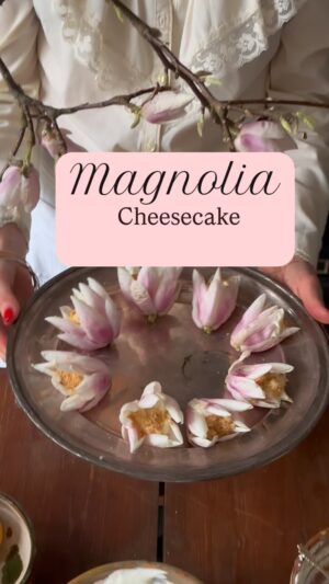 Malin Persson Instagram - Delicate, floral, and surprisingly delicious…
Try this cheesecake and taste spring in every bite!

Ingredients
Biscuit crumble:
300 g digestive biscuits
Cheesecake Mix:
600 g Philadelphia cheese
100 g icing sugar
300 ml whipped cream
3 table spoons lemon jam 
1 tea spoon lemon zest 

Fill up the magnolia buds with the cream and sprinkle over some crumble, enjoy!

#magnolias #seasonpoetry #elegantstyle #homedecor #asteteticfilm #romanticizeyourlife #myhomestyle #countryliving #gridelli @gridelli