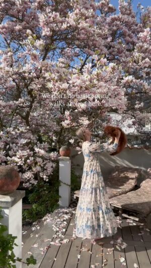 Malin Persson Instagram - We just had to try this… 

Spring’s here, so I insisted on a spin.
Magnolia is blooming, fur flying—just how I like it 🤩

#poodelsofinstagram #poodle #toypoodlelove #toypoodelpuppy #redtoypoodle #seasonpoetry #skandinavianhome #romanticizeyourlife #myhomestyle #countryliving #sezane #sezanlover #elegantstyle #spring