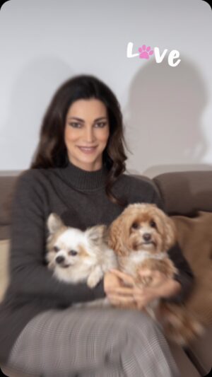 Manuela Arcuri Instagram - Come si fa a vivere senza un animaletto al proprio fianco? Questi occhi così dolci, espressivi, che chiedono solo amore. Gli animali sono creature meravigliose, divine, dall’animo puro, non conoscono la cattiveria e vivono nella fedeltà!! Oggi voglio presentarvi la mia famiglia a 4 zampe; 
Romeo: chiwawa (a pelo lungo)
Trilli: maltipoo
Alien: geco leopardino 
Wendy: criceto 
#amoreperglianimali #rispettopertuttiglianimali #dogs #criceto #gecoleopardino #manuelaarcuri_official #manuelaarcuri #noallabbandono @domenicovisonehairstylist @giorgiadellavalle_ @piergiorgiopirrone