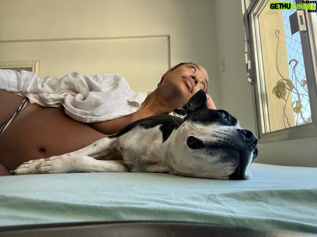Mariana Nunes - 12.8K Likes - ainda Ć© tudo muito novo e misterioso
e acho que, a partir de agora,
vai ser assim pra sempre.
TĆ“ desenhando a minha famĆlia do meu jeito, no tempo do meu possĆvel, com o meu próprio amor adubado por mim. Solo.
44 anos, menopausa, ovodoação, FIV, produção independente.
Uma trajetória, até então, desconhecida por mim e por muita gente.
Vontade, pesquisa, insistĆŖncia, cansaƧo, muito hormĆ“nio, frustração, tentativas, mais frustração, um positivo, uma solidĆ£o absurda, silĆŖncio, medo, depressĆ£oā¦
e lĆ” se foi o primeiro trimestreā¦
GraƧas!
Aqui estamos em mais uma nova e desconhecida fase e a Mustela chegando junto dessa nova famĆlia na construção dos nossos momentos de cuidado.
Tava doida pra contar essa novidade:
Pec foi promovida a irmã mais velha dos bebês que estão chegando!
#maternidadesolo #publi
#producaoindependente