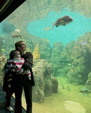 Mercedes Lambre Instagram - Descubriendo el mundo con mi mundo 🐬🐟🪼