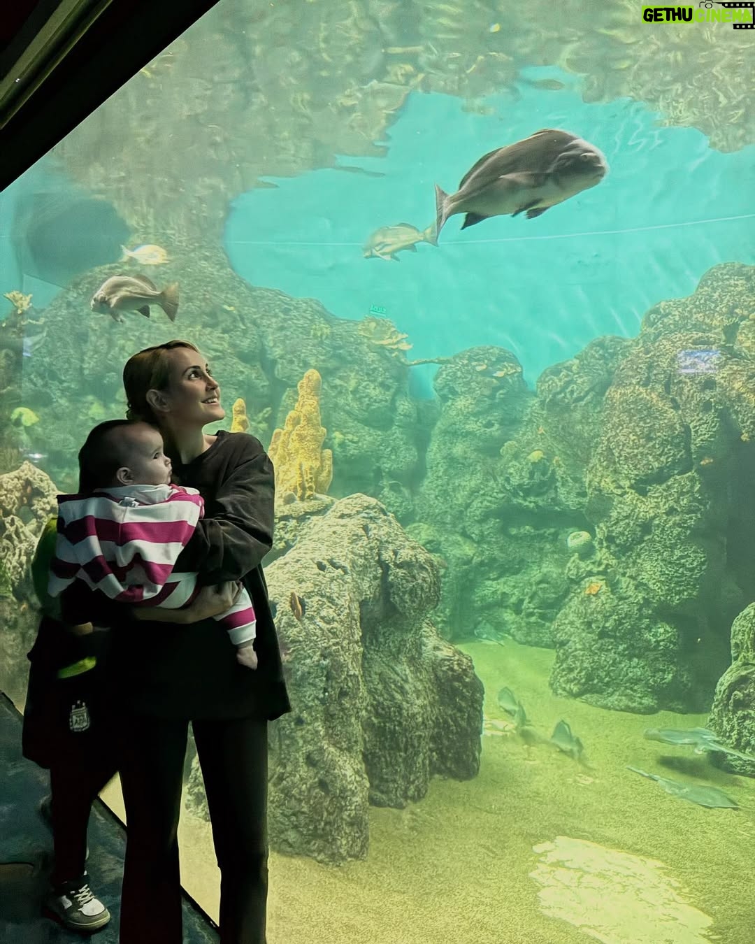 Mercedes Lambre - 6.3K Likes - Descubriendo el mundo con mi mundo 🐬🐟🪼