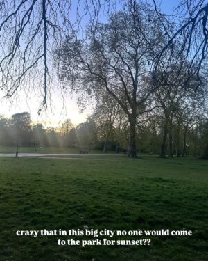 Michelle Collins Instagram - Swipe for the story of a girl who got locked in Hyde Park for 18 minutes. #survivor (posting the amount of selfies I took is actually very vulnerable for me and yes there were more g’night!!)