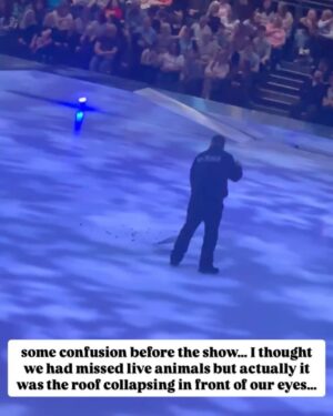 Michelle Collins Instagram - Saturday night deserved a 20 slide recap and an hour long special with @mjgon co-anchoring @themichcollshow today. A huge thanks to @timkoleto for the invite!!! And the legends that are @torvillanddeanofficial🏅