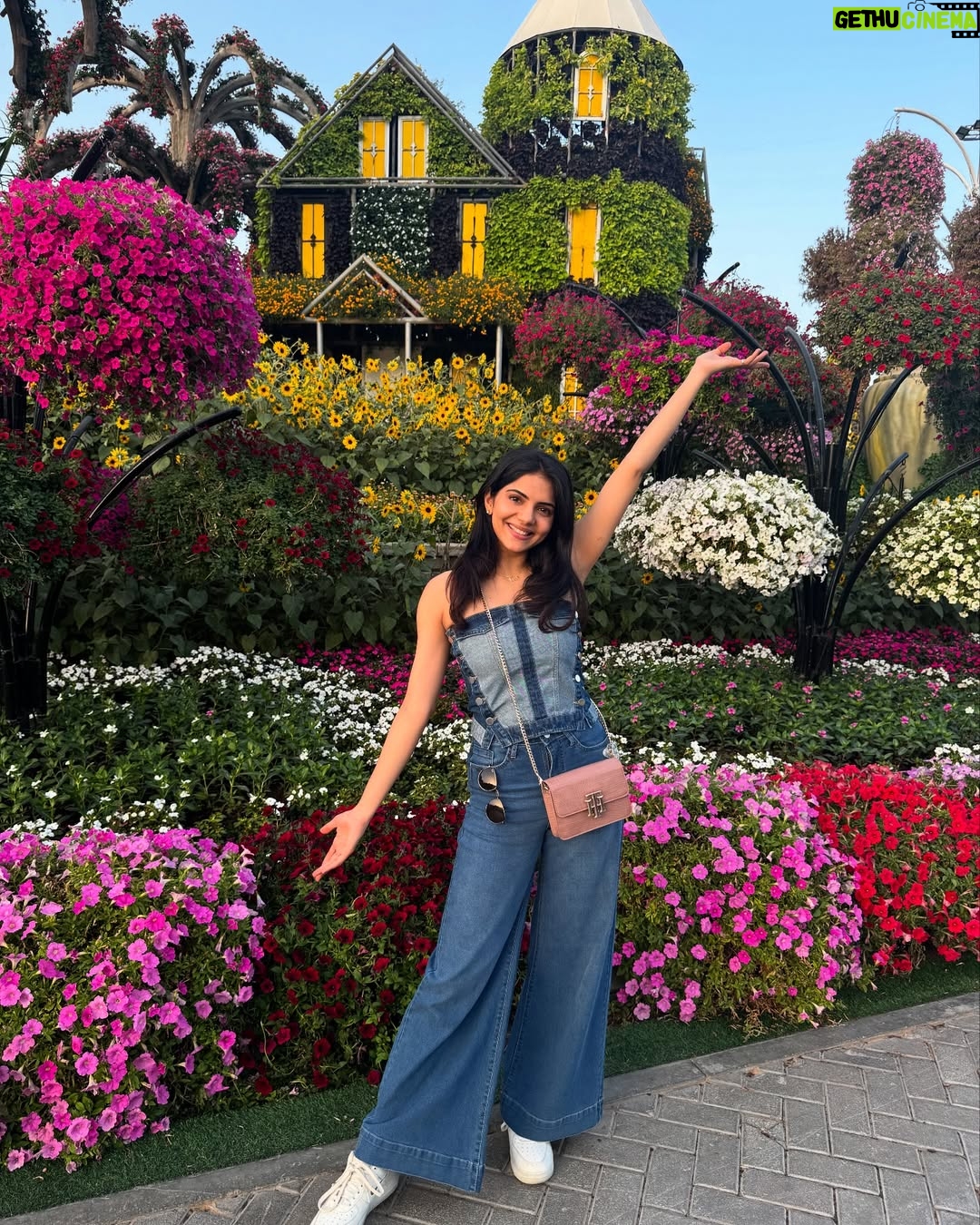 Misha Narang - 12K Likes - Where the life begins and love never ends. We call it family❤️
Making memories with my favorite people❤️
#siblings #family #familytime❤️ #dubai #miraclegarden #travel #explore