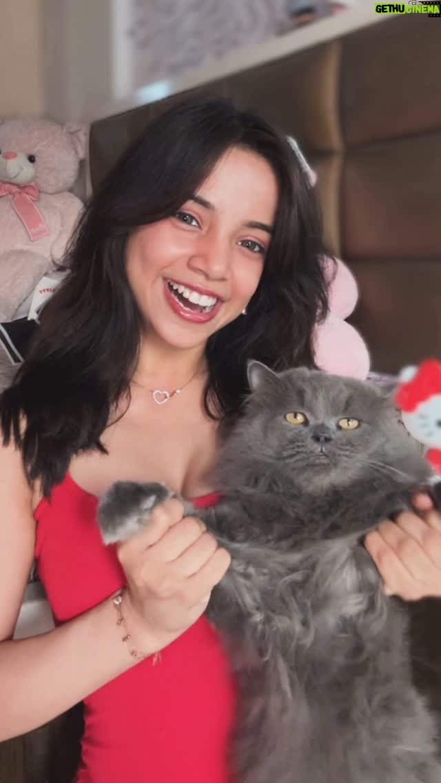 Muskan Karia - 69.5K Likes - aaj mere bille ne mere saath reel banyi😋
#cats #catreels