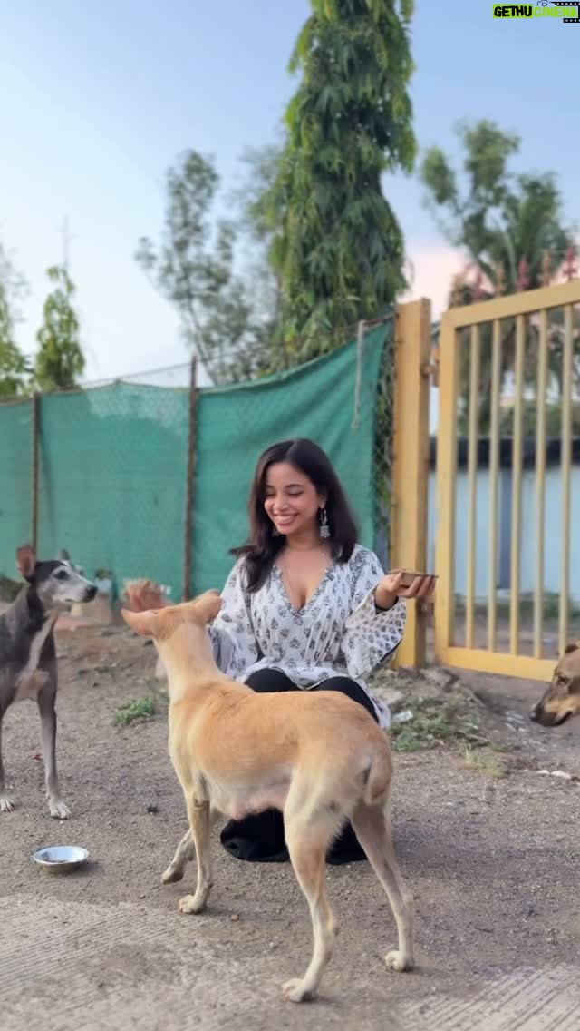 Muskan Karia - 89.7K Likes - happyy birthdayy to meee🥳
This is honestly a dream come true for a 10 year old muskan who always loved petting stray dogs on her way home to be able to afford to feed all the stray dogs on your way back home is honestly a dream come true? ❤️🥹Thank you everyone for all the lovely wishes✨
Link in bio for my membership!🫶🏻Let’s make this a thing where you go around on your #birthday and do something for a stray🐾