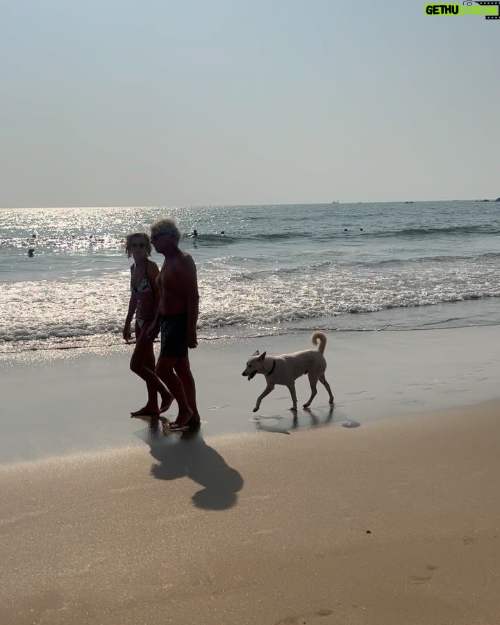 Pardis Ahmadieh - 64K Likes - Paradise in my hand, Pardis by the sea⦠and Goa looking like a dream. āļøš
š· @mona_alavi š¤
#paradise #goa #beach #sun #travel #solotravel #love #peace #india #indiapictures #colorful
